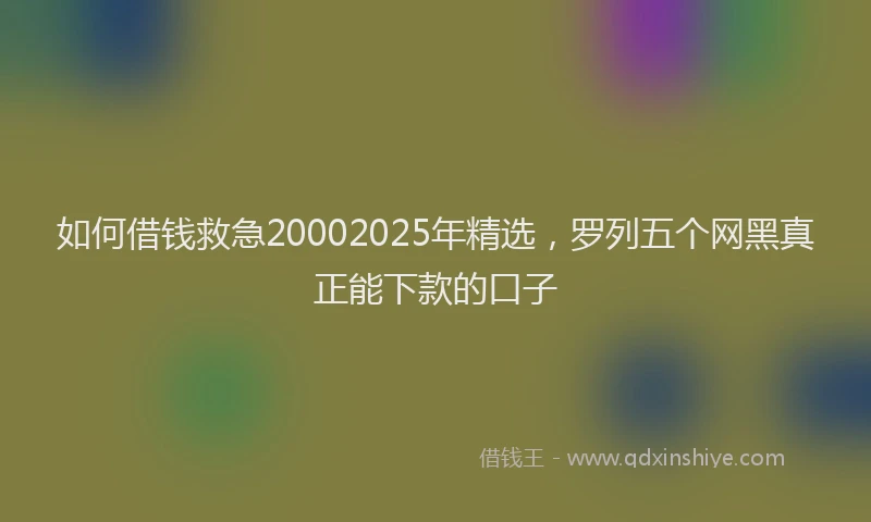 如何借钱救急20002025年精选，罗列五个网黑真正能下款的口子