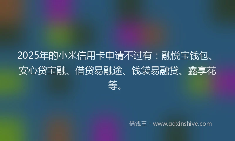 2025年的小米信用卡申请不过有:融悦宝钱包、安心贷宝融、借贷易融途、钱袋易融贷、鑫享花等。