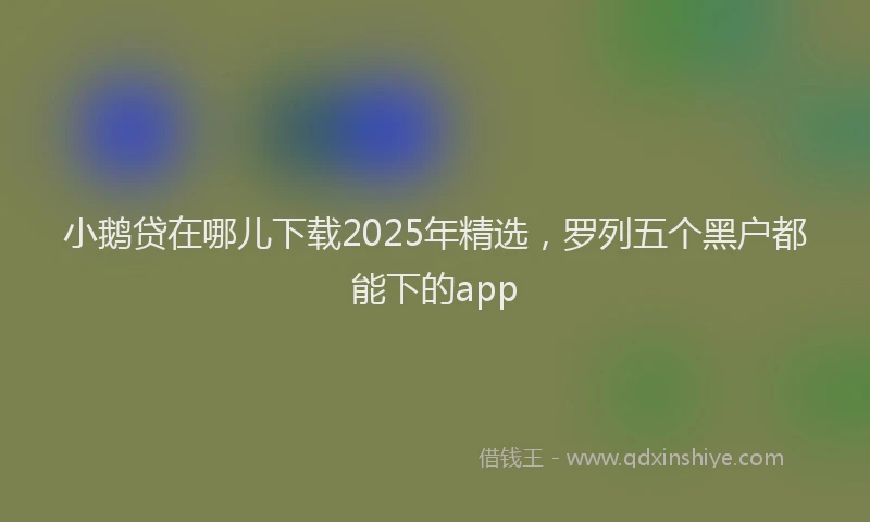 小鹅贷在哪儿下载2025年精选，罗列五个黑户都能下的app