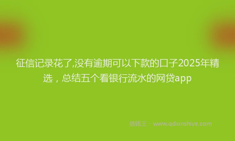 征信记录花了,没有逾期可以下款的口子2025年精选，总结五个看银行流水的网贷app