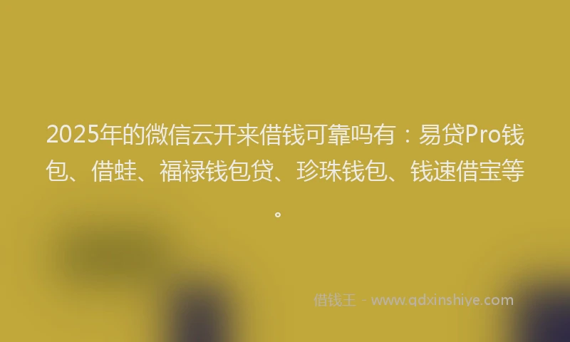 2025年的微信云开来借钱可靠吗有：易贷Pro钱包、借蛙、福禄钱包贷、珍珠钱包、钱速借宝等。