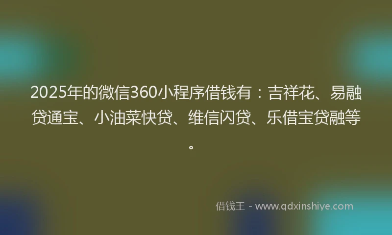 2025年的微信360小程序借钱有：吉祥花、易融贷通宝、小油菜快贷、维信闪贷、乐借宝贷融等。
