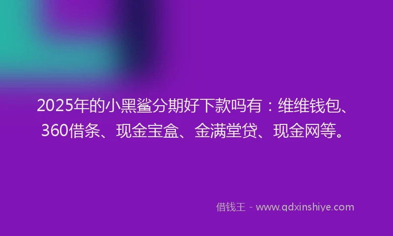 2025年的小黑鲨分期好下款吗有：维维钱包、360借条、现金宝盒、金满堂贷、现金网等。
