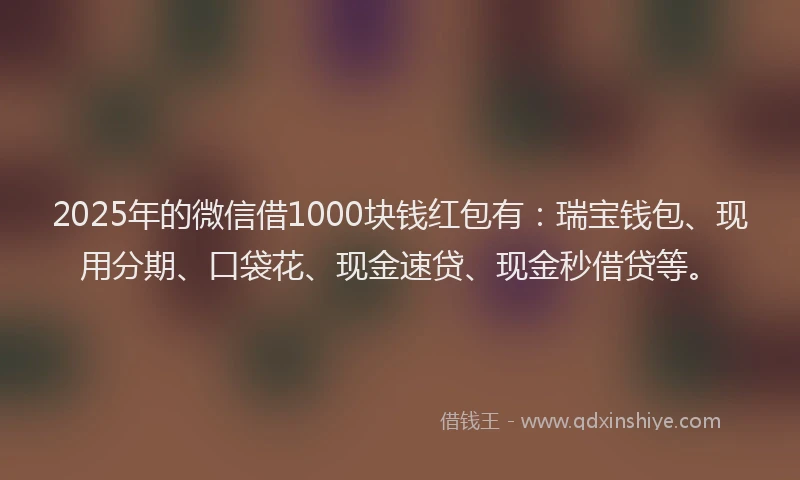 2025年的微信借1000块钱红包有：瑞宝钱包、现用分期、口袋花、现金速贷、现金秒借贷等。