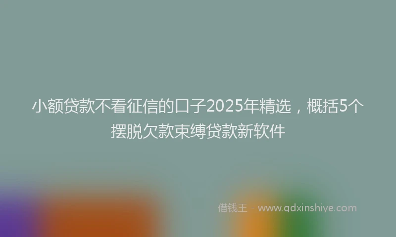 小额贷款不看征信的口子2025年精选，概括5个摆脱欠款束缚贷款新软件
