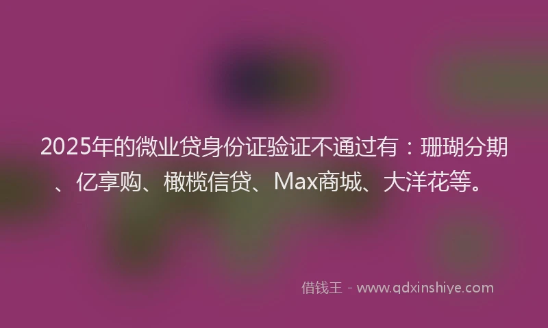 2025年的微业贷身份证验证不通过有：珊瑚分期、亿享购、橄榄信贷、Max商城、大洋花等。