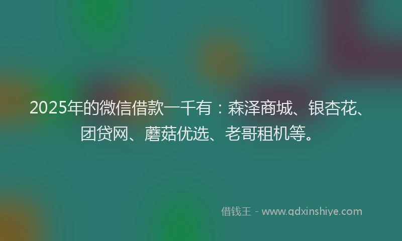 2025年的微信借款一千有：森泽商城、银杏花、团贷网、蘑菇优选、老哥租机等。