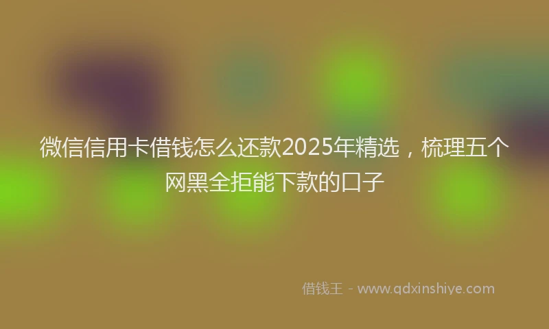 微信信用卡借钱怎么还款2025年精选，梳理五个网黑全拒能下款的口子