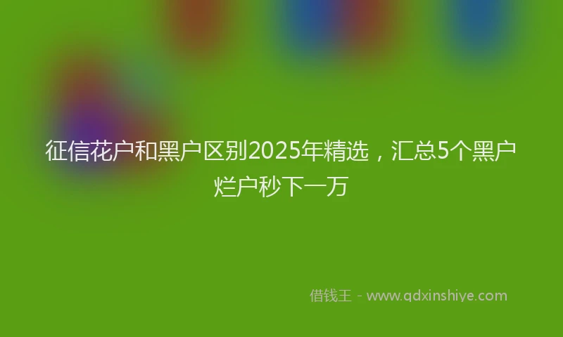 征信花户和黑户区别2025年精选，汇总5个黑户烂户秒下一万