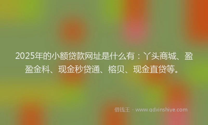 2025年的小额贷款网址是什么有：丫头商城、盈盈金科、现金秒贷通、榕贝、现金直贷等。