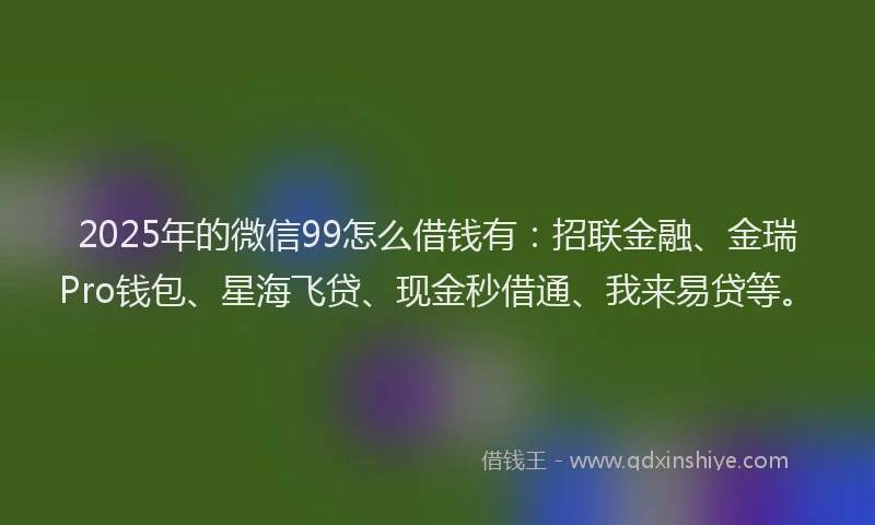 2025年的微信99怎么借钱有：招联金融、金瑞Pro钱包、星海飞贷、现金秒借通、我来易贷等。