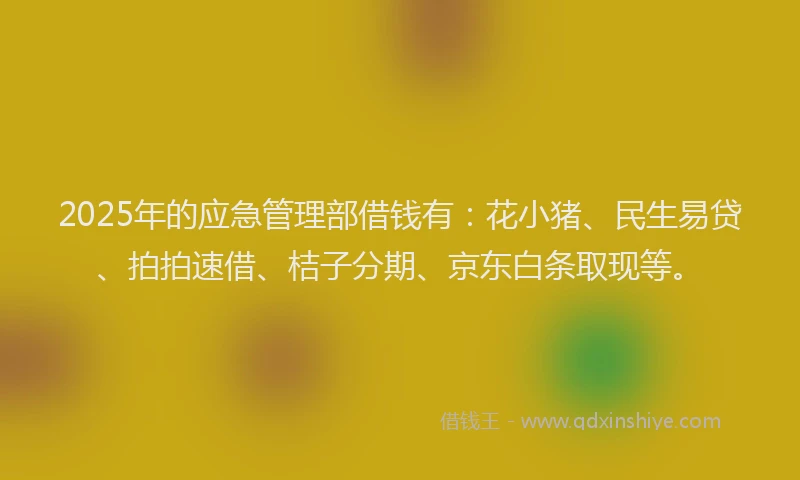 2025年的应急管理部借钱有：花小猪、民生易贷、拍拍速借、桔子分期、京东白条取现等。