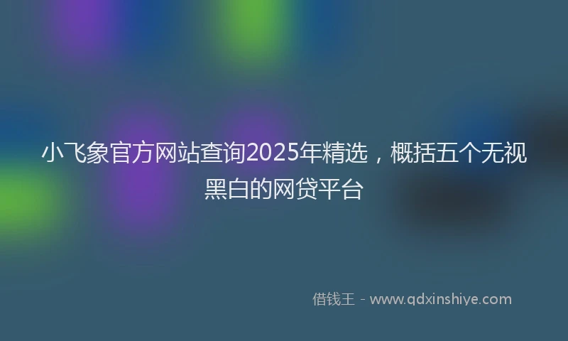 小飞象官方网站查询2025年精选，概括五个无视黑白的网贷平台