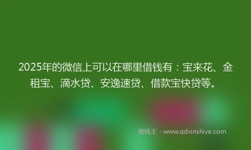 2025年的微信上可以在哪里借钱有：宝来花、金租宝、滴水贷、安逸速贷、借款宝快贷等。