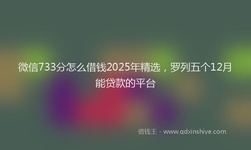 微信733分怎么借钱2025年精选，罗列五个12月能贷款的平台