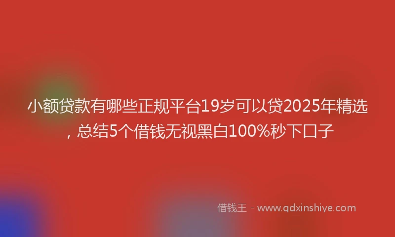 小额贷款有哪些正规平台19岁可以贷2025年精选，总结5个借钱无视黑白100%秒下口子