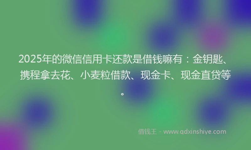2025年的微信信用卡还款是借钱嘛有：金钥匙、携程拿去花、小麦粒借款、现金卡、现金直贷等。