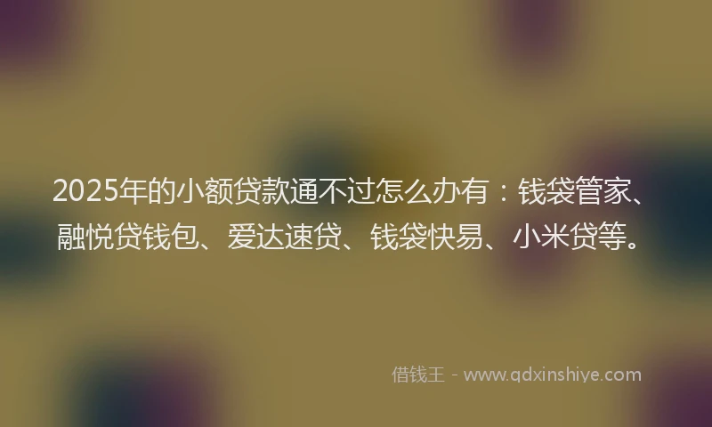 2025年的小额贷款通不过怎么办有：钱袋管家、融悦贷钱包、爱达速贷、钱袋快易、小米贷等。