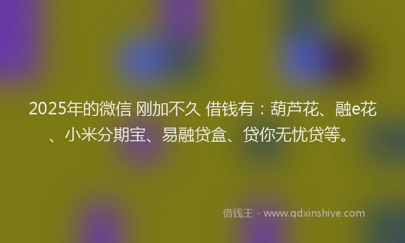 2025年的微信 刚加不久 借钱有：葫芦花、融e花、小米分期宝、易融贷盒、贷你无忧贷等。