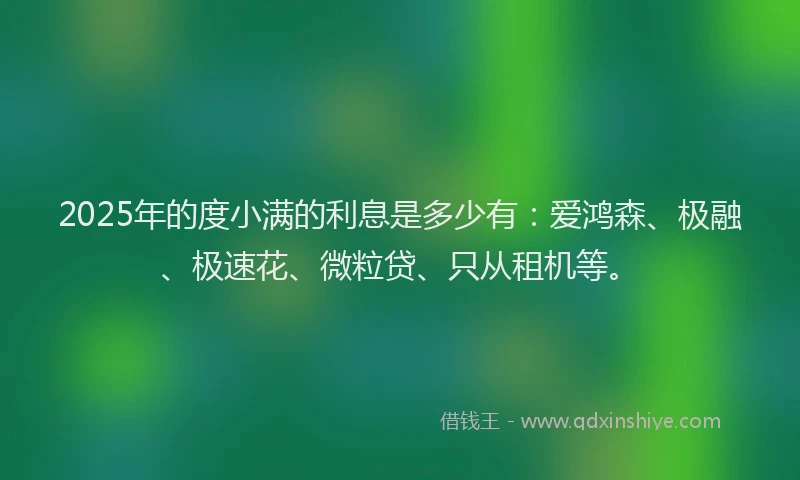 2025年的度小满的利息是多少有：爱鸿森、极融、极速花、微粒贷、只从租机等。