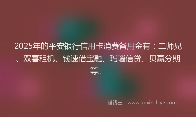 2025年的平安银行信用卡消费备用金有：二师兄、双喜租机、钱速借宝融、玛瑙信贷、贝赢分期等。