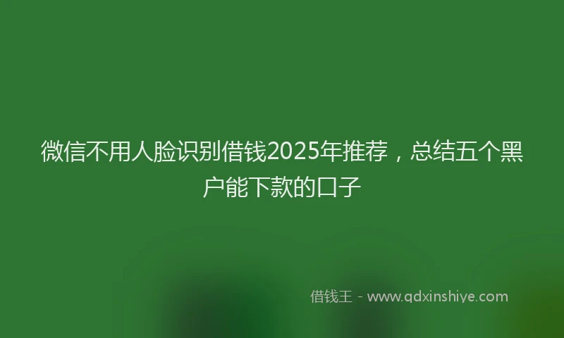 微信不用人脸识别借钱2025年推荐，总结五个黑户能下款的口子
