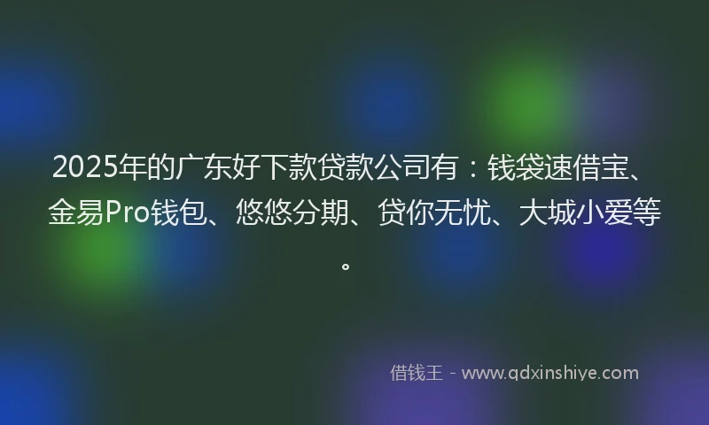 2025年的广东好下款贷款公司有：钱袋速借宝、金易Pro钱包、悠悠分期、贷你无忧、大城小爱等。