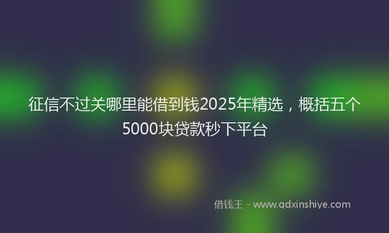 征信不过关哪里能借到钱2025年精选，概括五个5000块贷款秒下平台