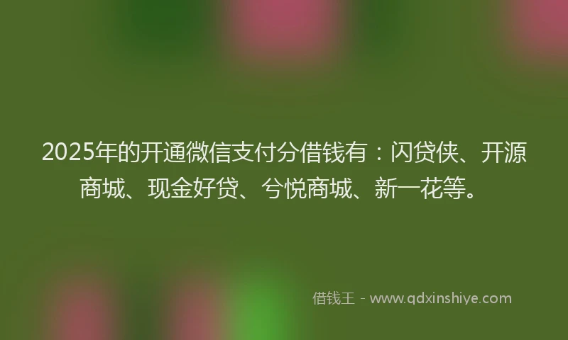 2025年的开通微信支付分借钱有：闪贷侠、开源商城、现金好贷、兮悦商城、新一花等。