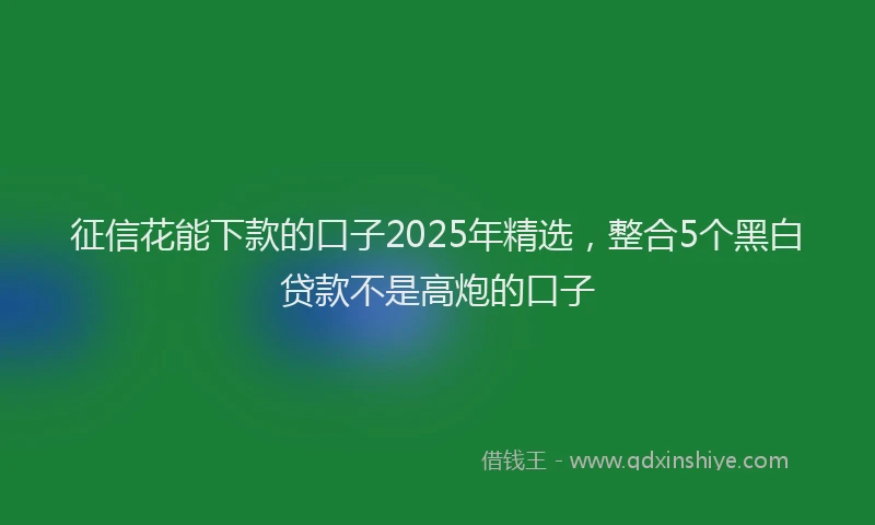 征信花能下款的口子2025年精选，整合5个黑白贷款不是高炮的口子