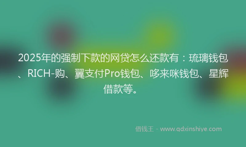2025年的强制下款的网贷怎么还款有：琉璃钱包、RICH-购、翼支付Pro钱包、哆来咪钱包、星辉借款等。