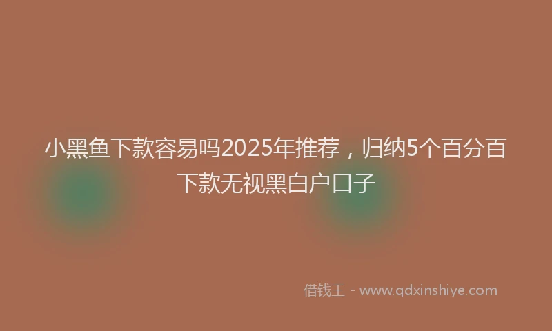小黑鱼下款容易吗2025年推荐，归纳5个百分百下款无视黑白户口子