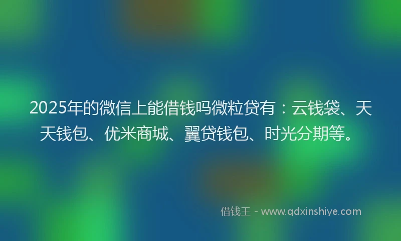 2025年的微信上能借钱吗微粒贷有：云钱袋、天天钱包、优米商城、翼贷钱包、时光分期等。