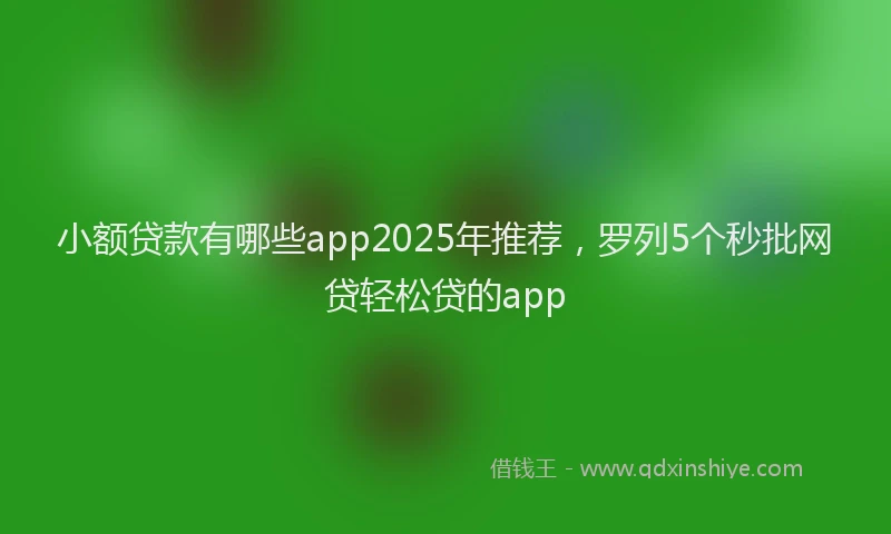 小额贷款有哪些app2025年推荐，罗列5个秒批网贷轻松贷的app