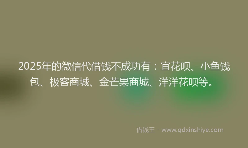 2025年的微信代借钱不成功有：宜花呗、小鱼钱包、极客商城、金芒果商城、洋洋花呗等。
