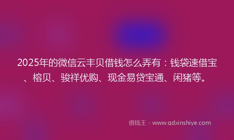 2025年的微信云丰贝借钱怎么弄有：钱袋速借宝、榕贝、骏祥优购、现金易贷宝通、闲猪等。