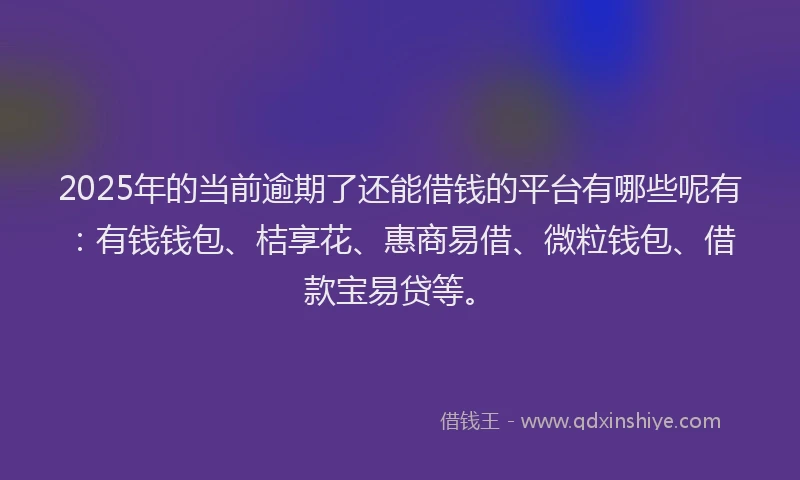 2025年的当前逾期了还能借钱的平台有哪些呢有：有钱钱包、桔享花、惠商易借、微粒钱包、借款宝易贷等。