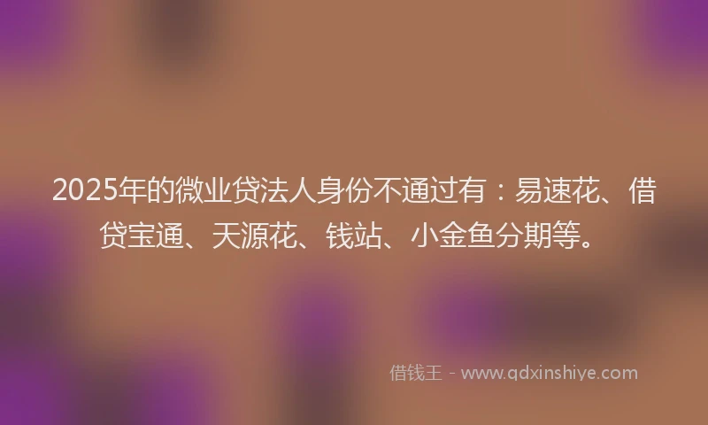 2025年的微业贷法人身份不通过有：易速花、借贷宝通、天源花、钱站、小金鱼分期等。