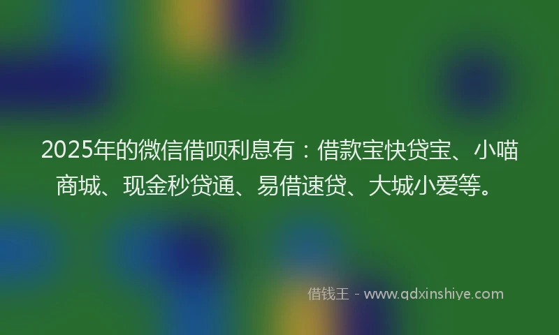 2025年的微信借呗利息有：借款宝快贷宝、小喵商城、现金秒贷通、易借速贷、大城小爱等。