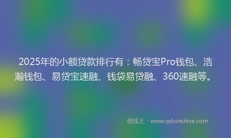 2025年的小额贷款排行有：畅贷宝Pro钱包、浩瀚钱包、易贷宝速融、钱袋易贷融、360速融等。