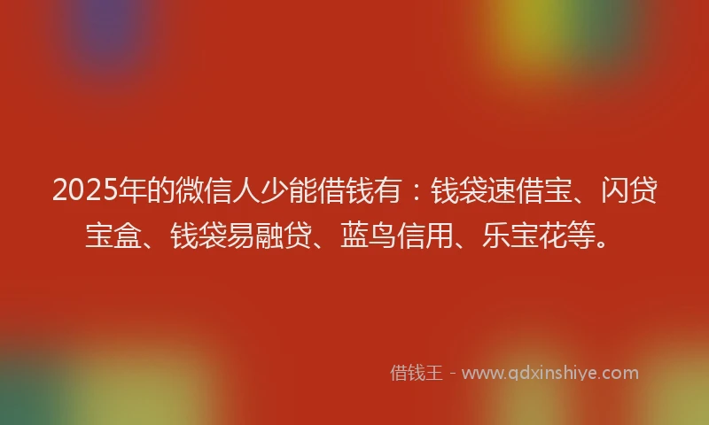 2025年的微信人少能借钱有：钱袋速借宝、闪贷宝盒、钱袋易融贷、蓝鸟信用、乐宝花等。