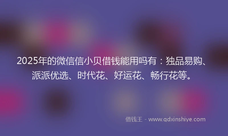 2025年的微信信小贝借钱能用吗有：独品易购、派派优选、时代花、好运花、畅行花等。