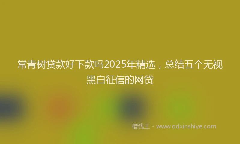 常青树贷款好下款吗2025年精选，总结五个无视黑白征信的网贷