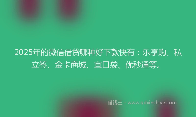 2025年的微信借贷哪种好下款快有：乐享购、私立签、金卡商城、宜口袋、优秒通等。