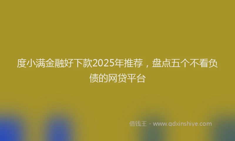 度小满金融好下款2025年推荐，盘点五个不看负债的网贷平台