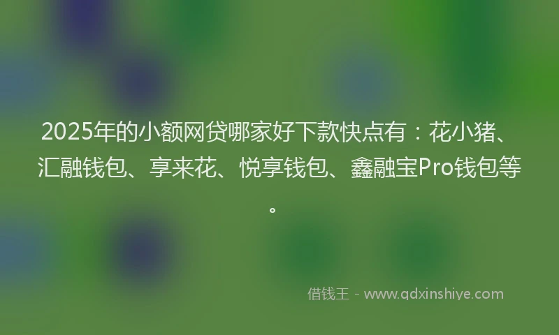 2025年的小额网贷哪家好下款快点有：花小猪、汇融钱包、享来花、悦享钱包、鑫融宝Pro钱包等。