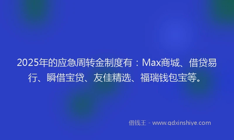 2025年的应急周转金制度有：Max商城、借贷易行、瞬借宝贷、友佳精选、福瑞钱包宝等。