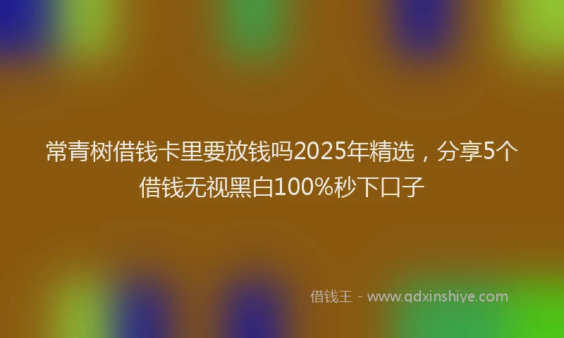 常青树借钱卡里要放钱吗2025年精选，分享5个借钱无视黑白100%秒下口子