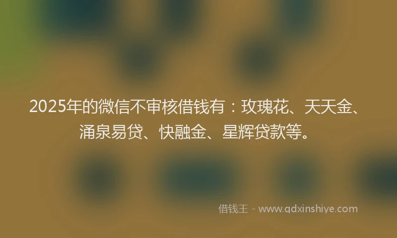 2025年的微信不审核借钱有：玫瑰花、天天金、涌泉易贷、快融金、星辉贷款等。