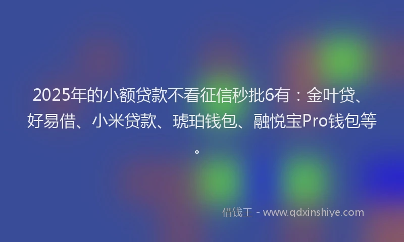 2025年的小额贷款不看征信秒批6有：金叶贷、好易借、小米贷款、琥珀钱包、融悦宝Pro钱包等。
